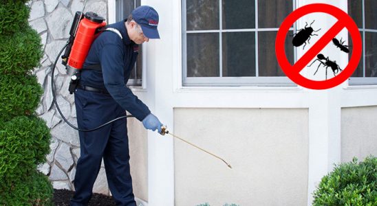 Darende Hamam Böceği İlaçlama böcek ilaçlama ve haşere kontrolü — ilaclama-tr.com
